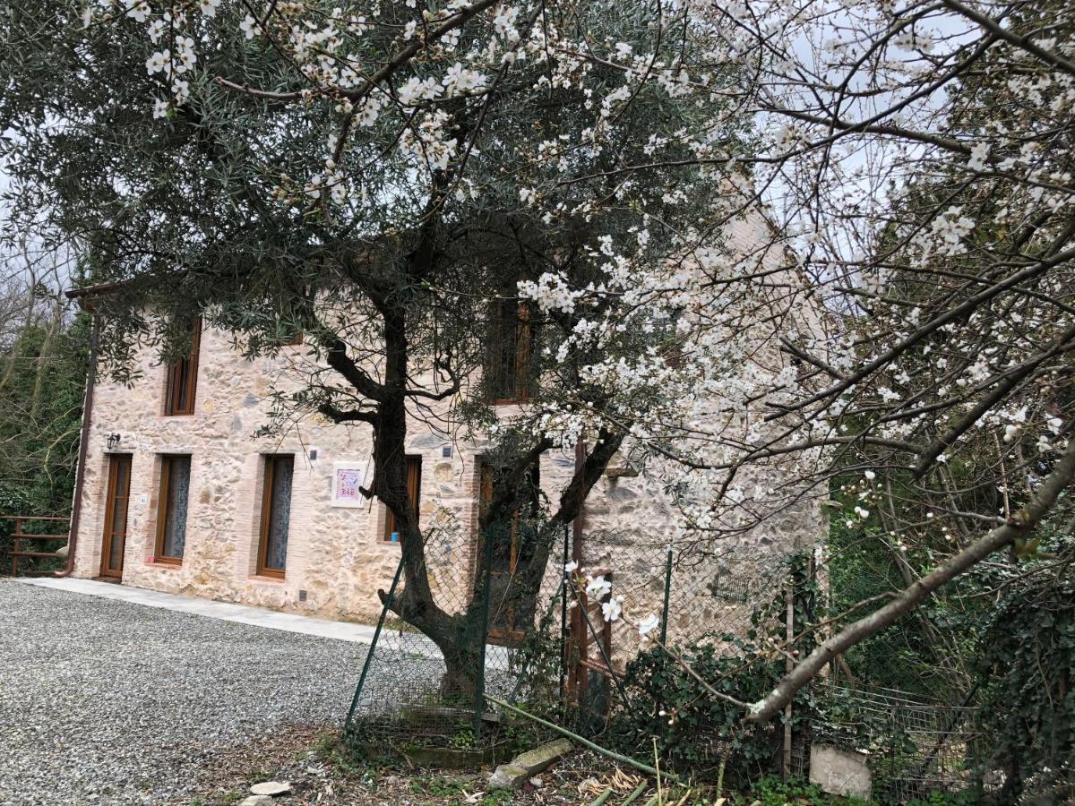 Dolce Vita In Tuscany Cottage Capannori Exterior foto