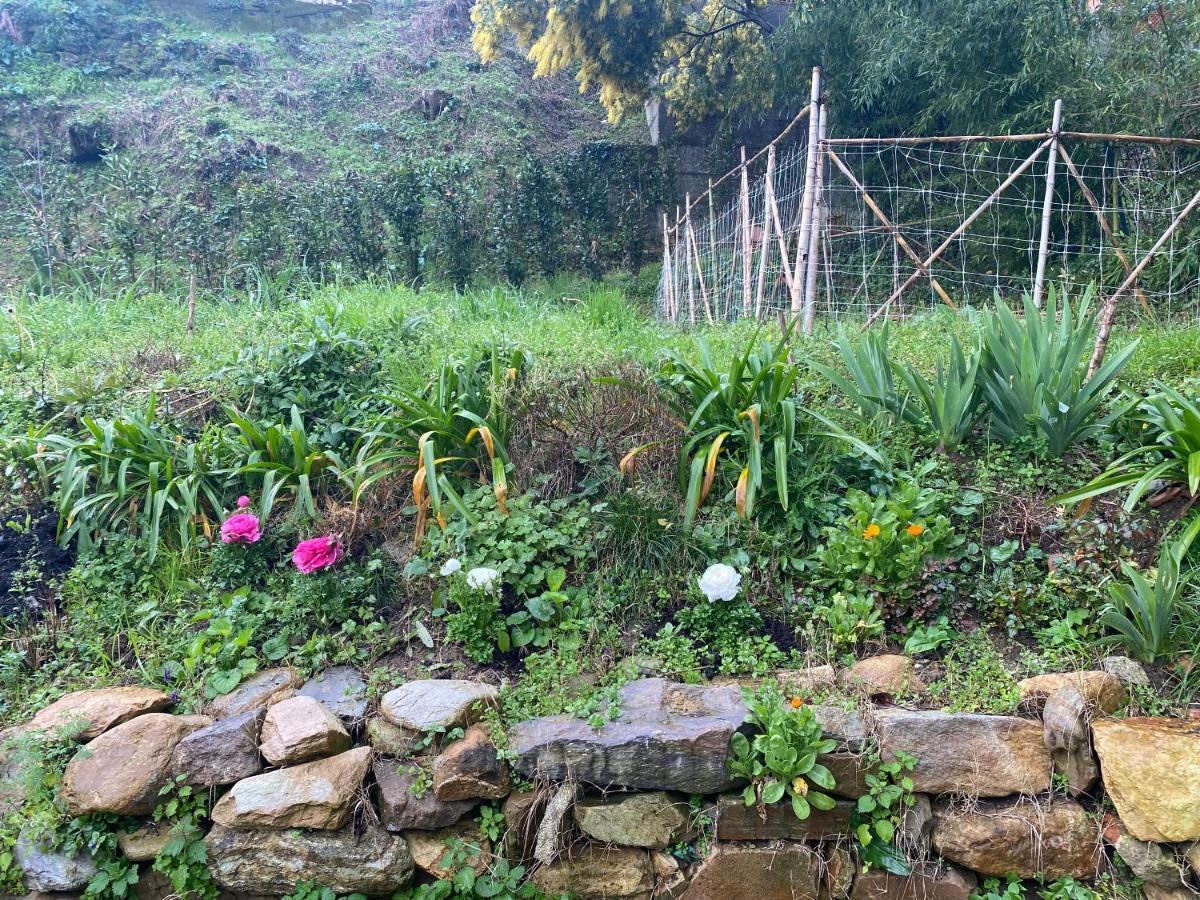 Dolce Vita In Tuscany Cottage Capannori Exterior foto