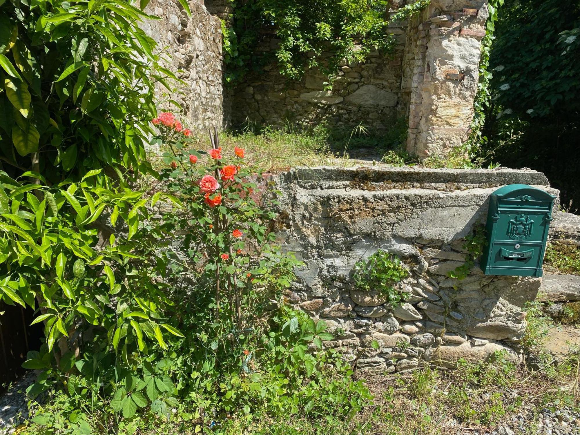 Dolce Vita In Tuscany Cottage Capannori Exterior foto